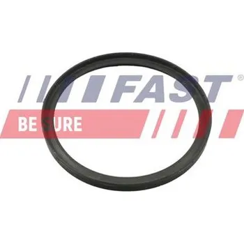 Příslušenství pro turbodmychadlo FAST FT49857 Těsnicí kroužek, hadice plnicího vzduchu (FT49857)