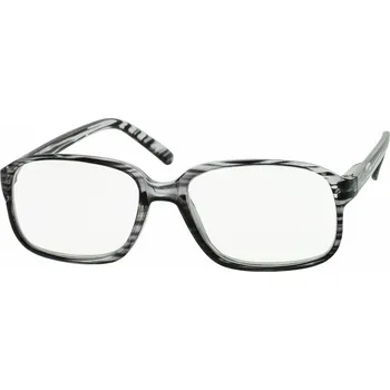 Brýle na čtení Dioptrické čtecí brýle RG868G +5,5D