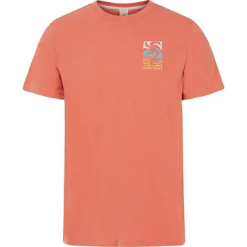 Pánské tričko Pánské triko Protest PRTROCHA velikost XL oranžová