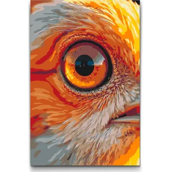 Malování podle čísel - Ptačí oko Velikost: 40x60cm, Rámování: Pouze srolované plátno