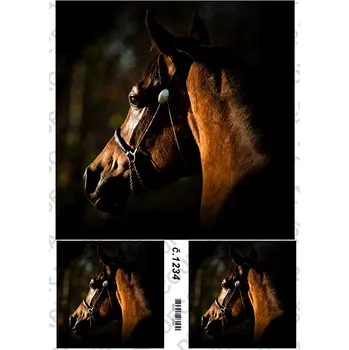 Umělecký papír Rýžový a soft papír na decoupage - Kůň- KB01234 Materiál: Soft, Rozměr: A4