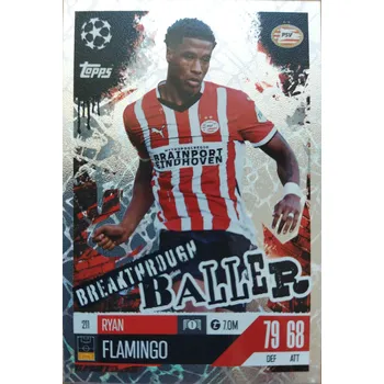 Sběratelská karetní hra Ryan Flamingo