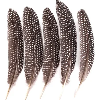 Dekorační bažantí pírka velké / 5 kusů