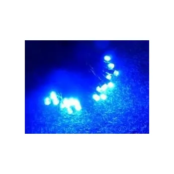 Vánoce PRC Vánoční osvětlení 30 LED na baterie Z.D modré