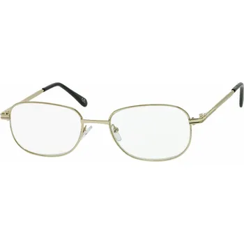 Brýle na čtení Dioptrické čtecí brýle RG0010G +5,5D