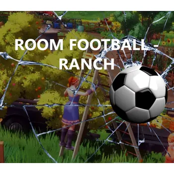 Počítačová hra ROOM FOOTBALL: Ranch