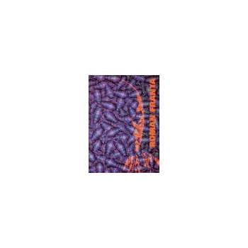 Umění Obrazy / Paintings 1996-1999 - Roman Franta