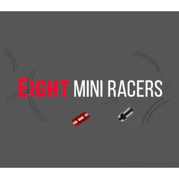Počítačová hra Eight Mini Racers