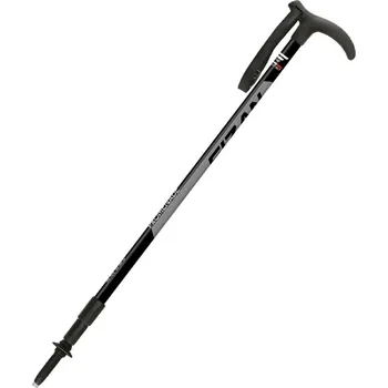 Trekingová hůl FIZAN Promenade šedá