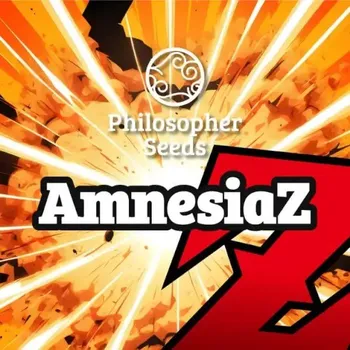 Semeno Philosopher Seeds - Amnesiaz 3 ks