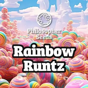 Semeno Philosopher Seeds - Rainbow Runtz 3 ks