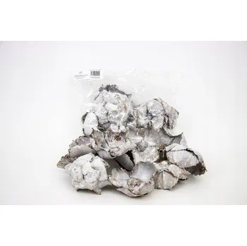 umělá květina PALMOVÝ KLOBOUK - BĚLENÉ EXOTICKÉ SUŠENÉ ROSTLINY KVĚTY PRO ARANŽMÁ - 10 KS