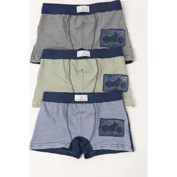 Chlapecké spodní prádlo Dětské boxerky Gasoline U/2351 6 Mix