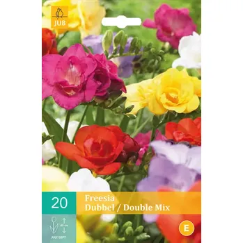 Cibulovina Karta - Frézie - Freesia Double Mix (20 cibulí) "C"