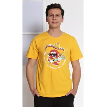 Pánské pyžamo Pánské pyžamo kapri Mexiko světle zelená M