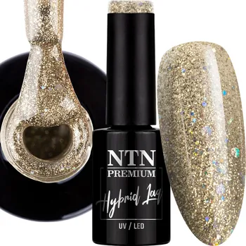 Lak na nehty Hybridní lak NTN Premium Limited Edition 5g Č. 424