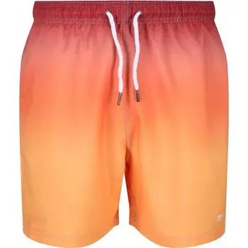 Pánské plavky Pánské plavkové šortky Loras Swim Short 4JC oranžové - Regatta oranžová S