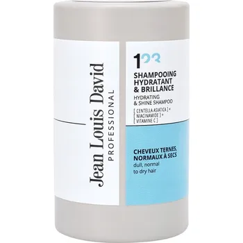 Šampon Jean Louis David Hydratant & Brillance šampon pro hydrataci a lesk suchých vlasů 300 ml