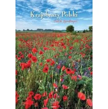 Kalendář Kalendarz 2026 ścienny Krajobrazy Polski (pl, 2025, Avanti)
