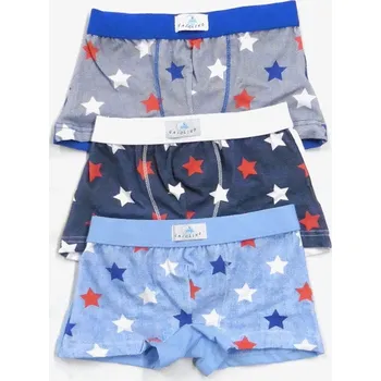 Chlapecké spodní prádlo Dětské boxerky Gasolino U2304 6 Mix
