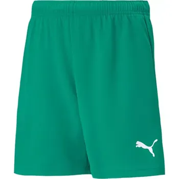 Chlapecké kraťasy Dětské šortky Team RISEShort Jr 704943 05 - Puma 164cm