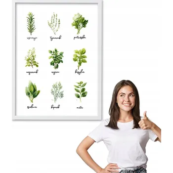 Obraz Obraz s rámem, vzor KULINÁŘSKÉ BYLINKY, bílý rámeček 50x70 do kuchyně, jídelny
