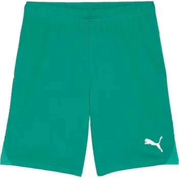 Pánské kraťasy Pánské fotbalové šortky Puma TEAMGOAL SHORTS XXL Zelená, Bílá