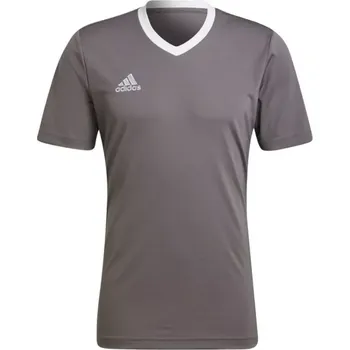 Pánské tričko Pánské tričko Adidas T-shirt Entrada 22 Jersey M HE1574 pánské s