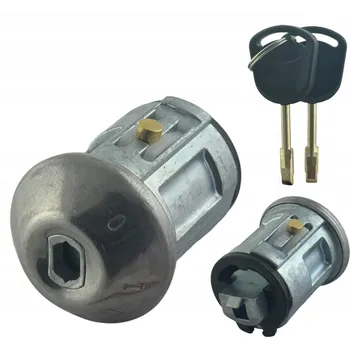 Vložka spínací skříňky Spínač Zapalování Ford Escort Fiesta Courier Transit FO21 kulatý