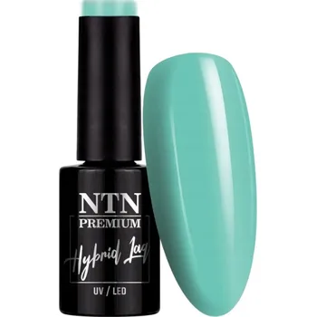 Přípravek na nehty Hybridní lak na nehty NTN 5g Gossip Girl Collection Mint Green Č.08