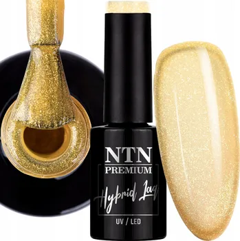 Lak na nehty Hybridní lak NTN Premium Limited Edition 5g Č. 411