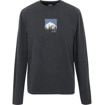 Pánské triko Regatta Maylow Velikost: S / Barva: černá