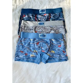 Chlapecké spodní prádlo Chlapecké boxerky Gasolino U/3314 5 Dle obrázku