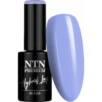 Lak na nehty Hybridní Lak na Nehty NTN 5g Delight Sorbet Collection Světle Modrá Č. 145