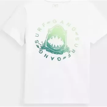 Chlapecké tričko Chlapecké tričko 4FJSS23TTSHM283-10S - 4F 146