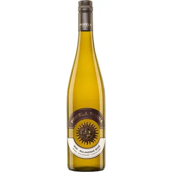 Víno Vinařství Popela Rulandské šedé 2023 pozdní sběr suché 0,75 l