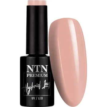 Lak na nehty Hybridní lak na nehty NTN 5g Kolekce Day Dreaming Béžový Č. 60