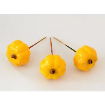 Dýně velká se zápichem