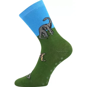 Dámské punčochy Chlapecké protiskluzové ponožky Filip C - 20-24 / zelená