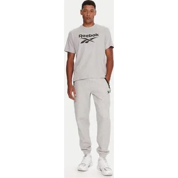 Reebok T-Shirt RK25141CCM Šedá Regular Fit S