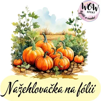 Nažehlovačky na fólii Nažehlovačka na fólii, DÝNĚ v zahradě, 14x15cm, 1 kus
