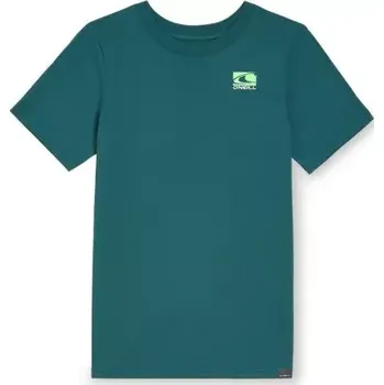 Chlapecké tričko O'Neill Jack T-Shirt Jr 92800613615 152