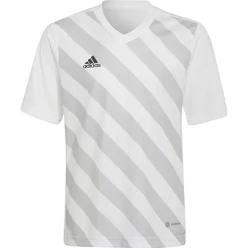 Chlapecké tričko Entrada 22 Graphic Jersey Junior HF0120 tričko - Adidas 128 cm