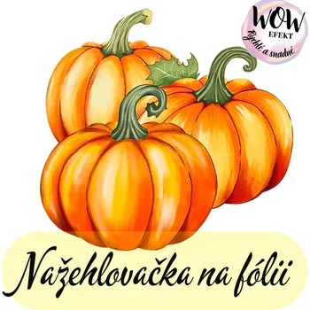 Nažehlovačky na fólii Nažehlovačka na fólii, TŘI DÝNĚ, 9,7x10,4cm, 1 kus