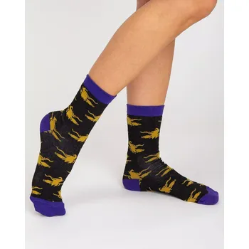 Pánské ponožky Ponožky WS SR 5604 vícebarevné 36-40