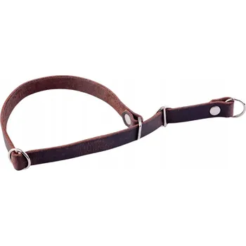 Obojek pro psa Kožený obojek pro psa 4wild vel. XL