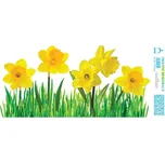 Dekorační fokie na okno Pás narcisů