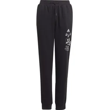 Adidas BLUV Q3 Pant Jr IA1552 164 cm