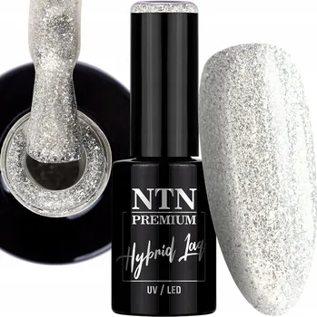 Lak na nehty Hybridní lak NTN 5g Limited Edition Glitter Stříbrný s třpytkami Č.317