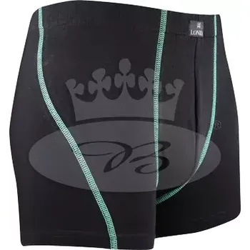 Pánské oblečení Pánské boxerky Kamil - L / zelená